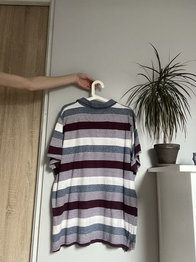 T-shirt polówka koszulka w paski Pierre Cardin