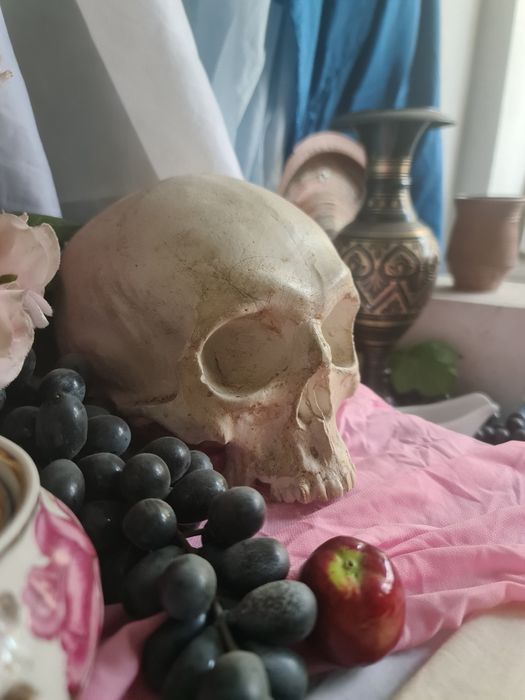 Модель гіпсового черепа