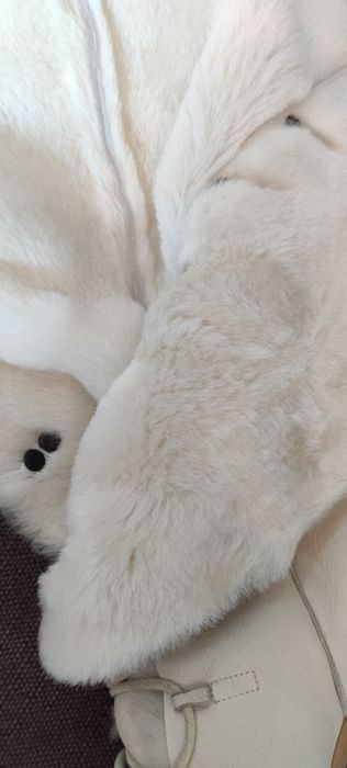 Cucci оригинал сапоги высокие Цегейка