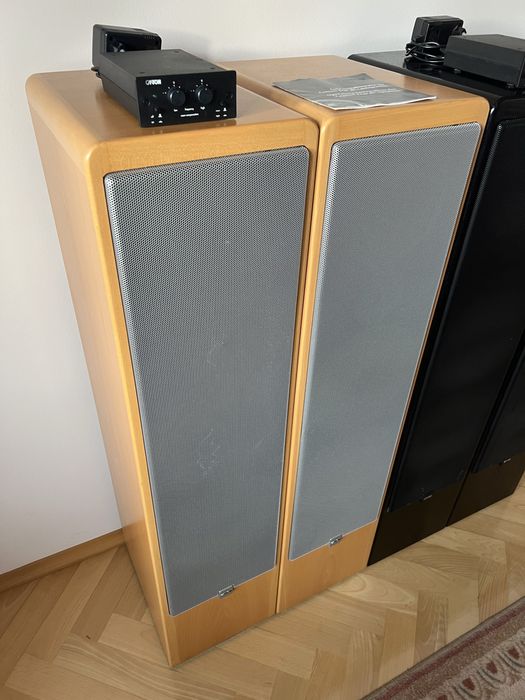 Kolumny podłogowe Canton Ergo RC-L 200/350W jasne drewno czarne