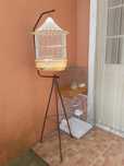 Gaiolas a partir de 10€