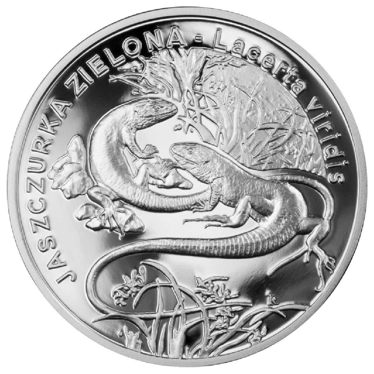Srebrna moneta 20 zł Zwierzęta Świata: Jaszczurka zielona 28,28 g