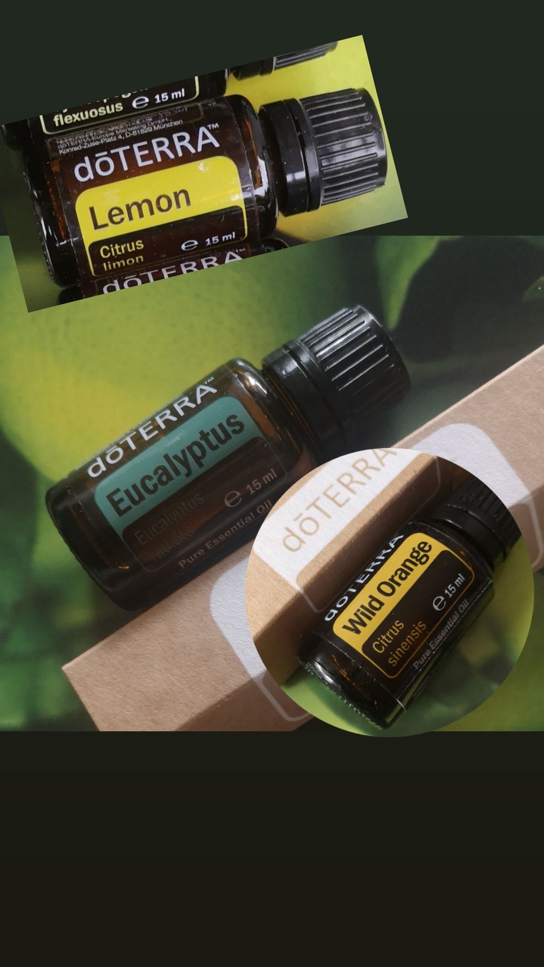 Doterra lemon, Wild Orange i eucaliptus