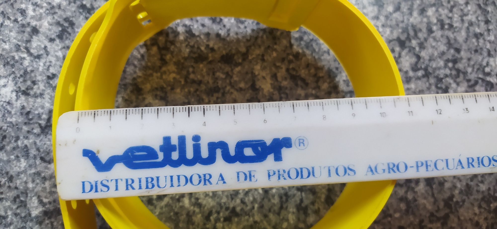 Coleiras identificação Cães