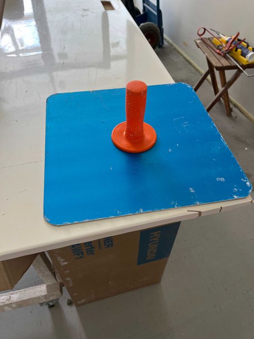 Сокіл штукатурний