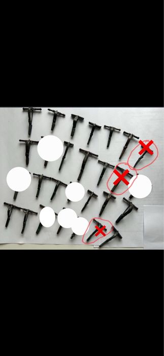 Zrestaurowane fibule