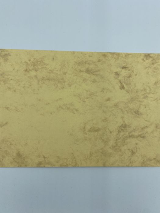 Odbitka kartka pocztówka widok warszawy urbs varsovia sedes