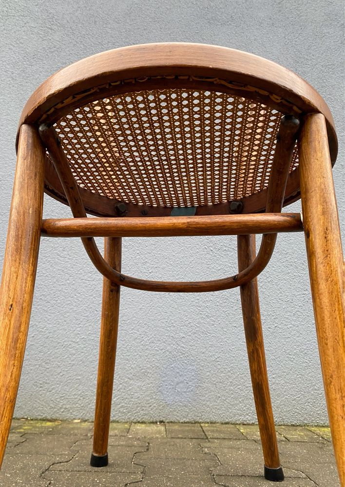 Zestaw kultowych krzeseł w stylu Thonet