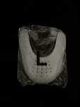Sneaker shield r. 40-46