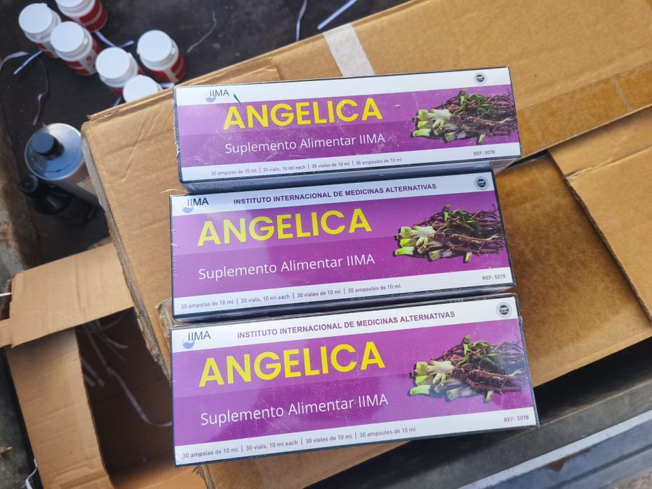 3x embalagens Angelica suplemento alimentar