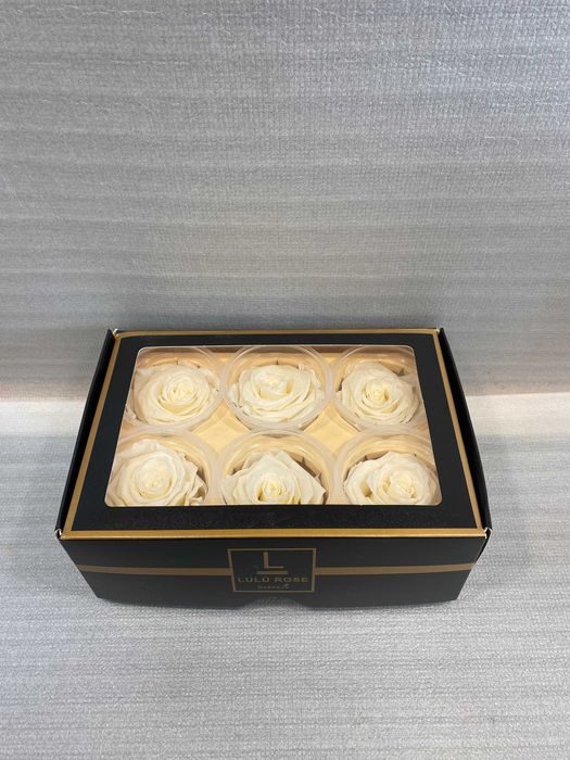 Róża stabilizowana /wieczna rozmiar L