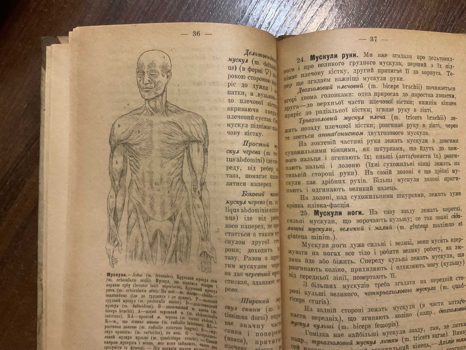 Київ 1918 Анатомія і фізіологія людини Коваленко вбитий нквд часи УНР