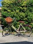 Rower PASHLEY BRITANNIA, Damski, Kolor Kremowo - Bordowy