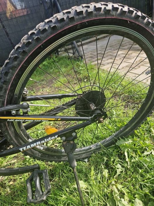 Rower teamrider 26cali