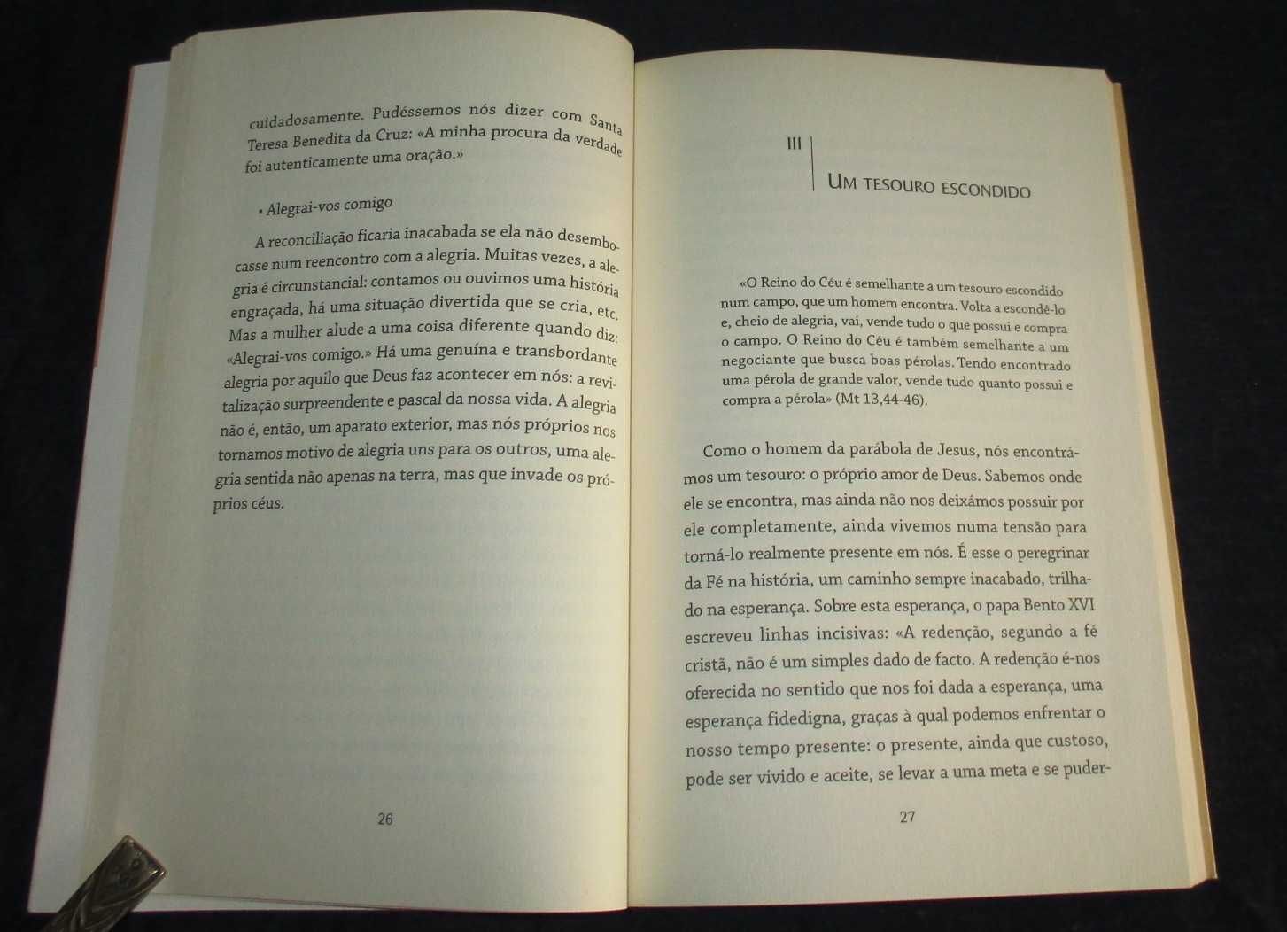 Livro O Tesouro Escondido José Tolentino Mendonça