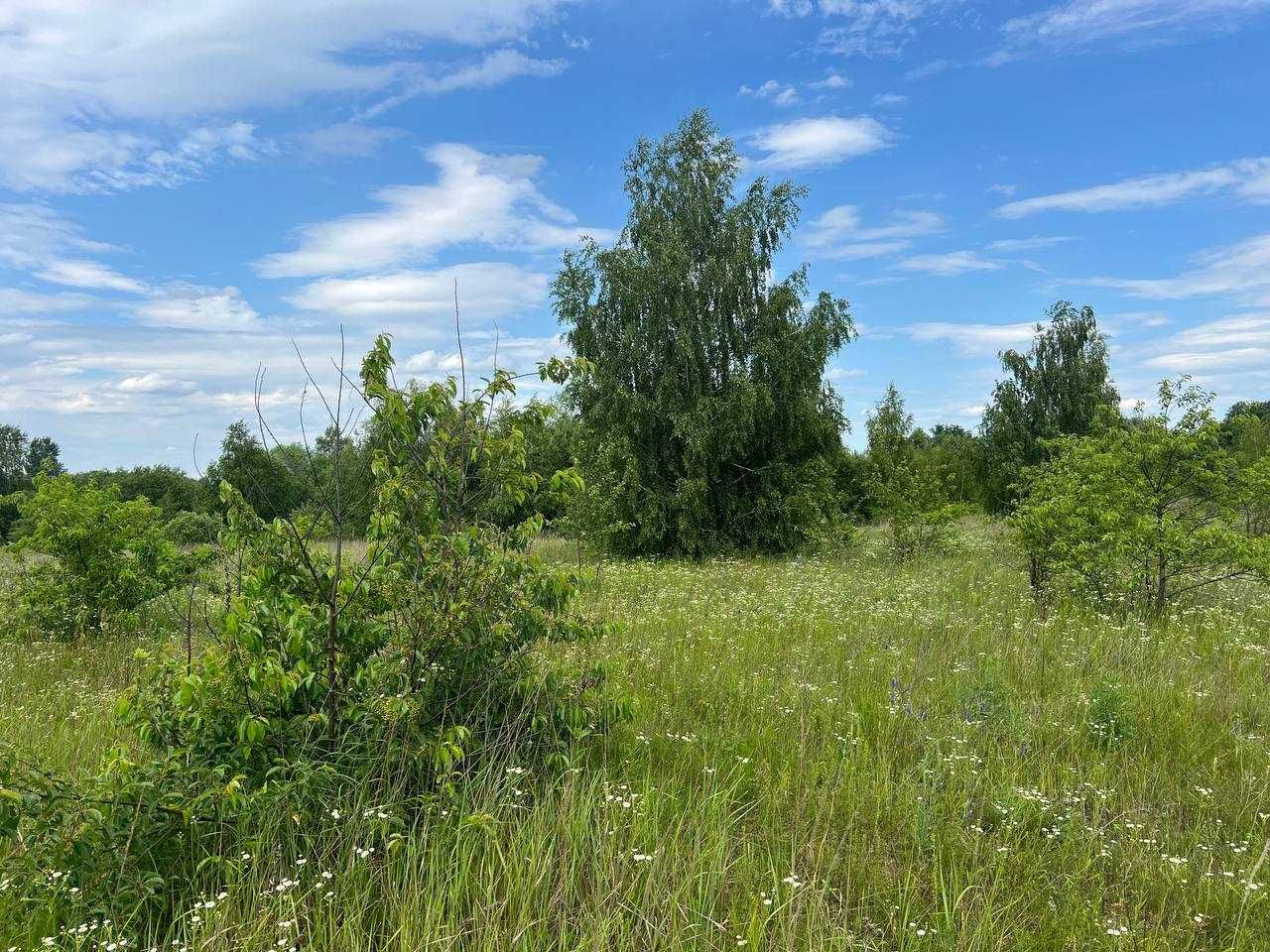 Продаж ділянки 10сот ОСГ. Поруч ліс і озеро. Грунтовий під'їзд. ID:587