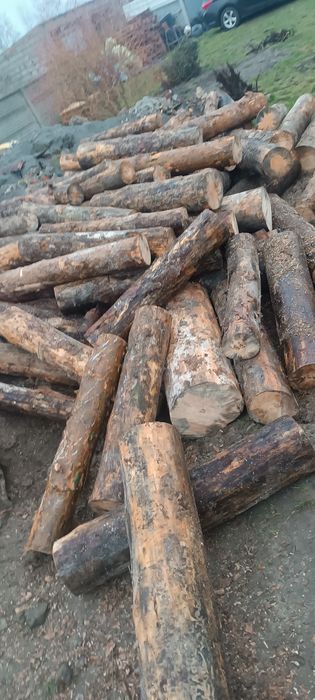 Drewno opałowe różne rodzaje