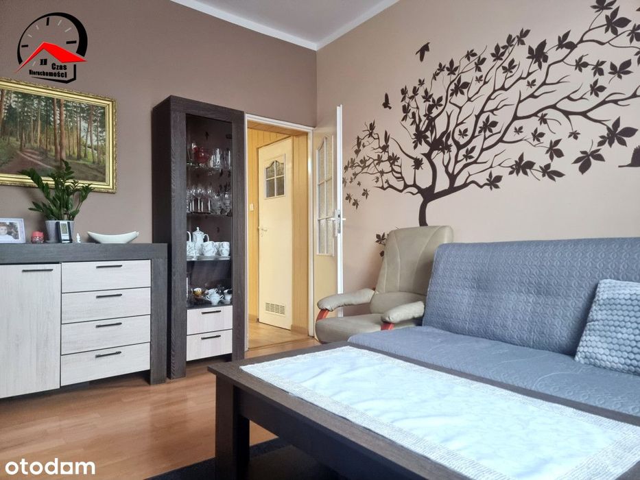 Dom z dużą działką