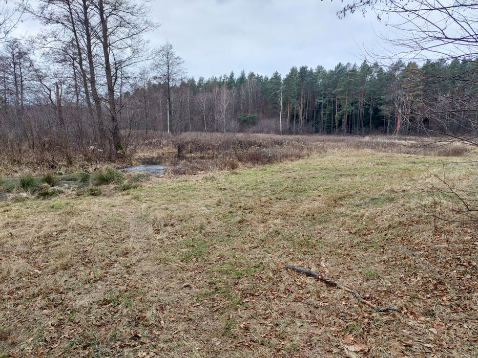 Działka inwestycyjna, rekreacyjna