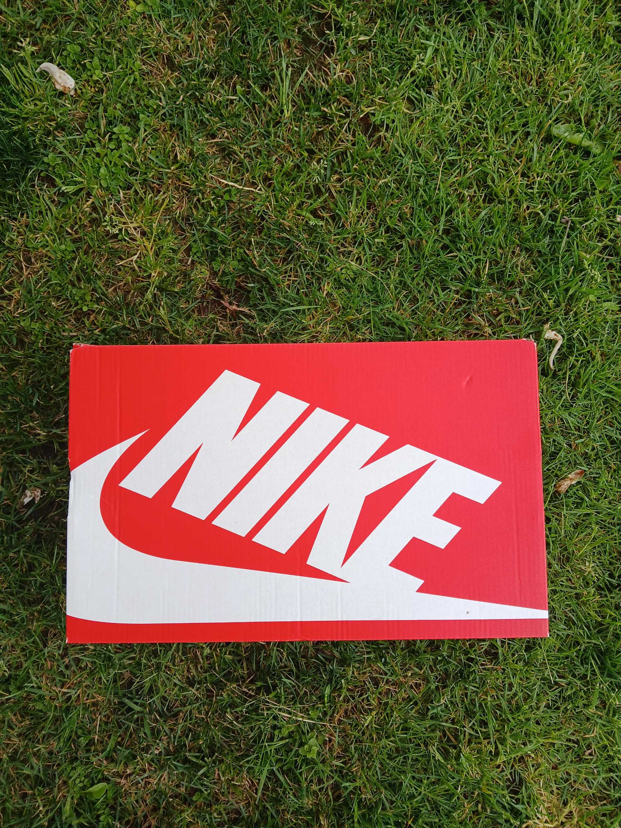 Nike Dunk Low Michigan State
