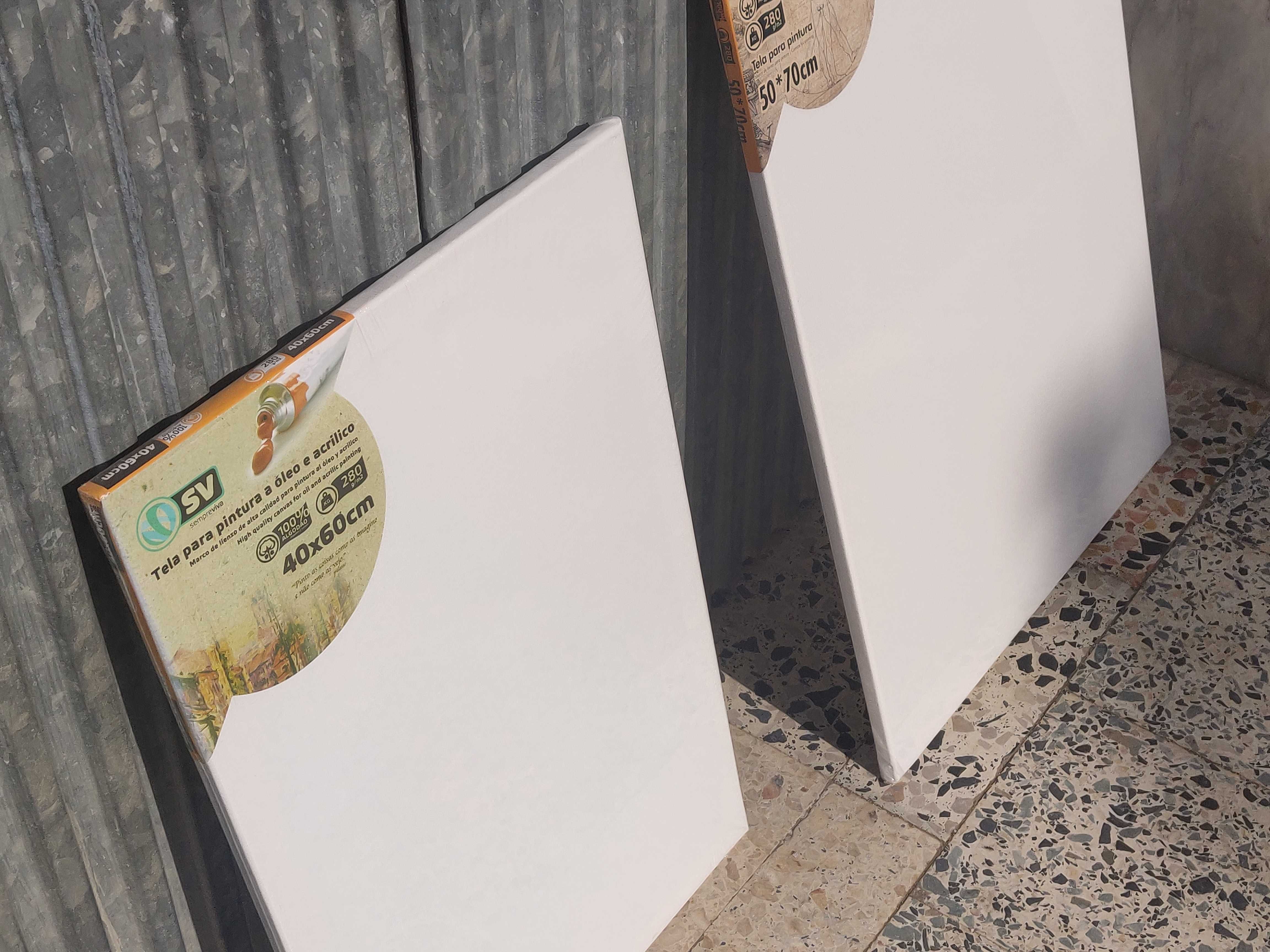 Quadros para pintar