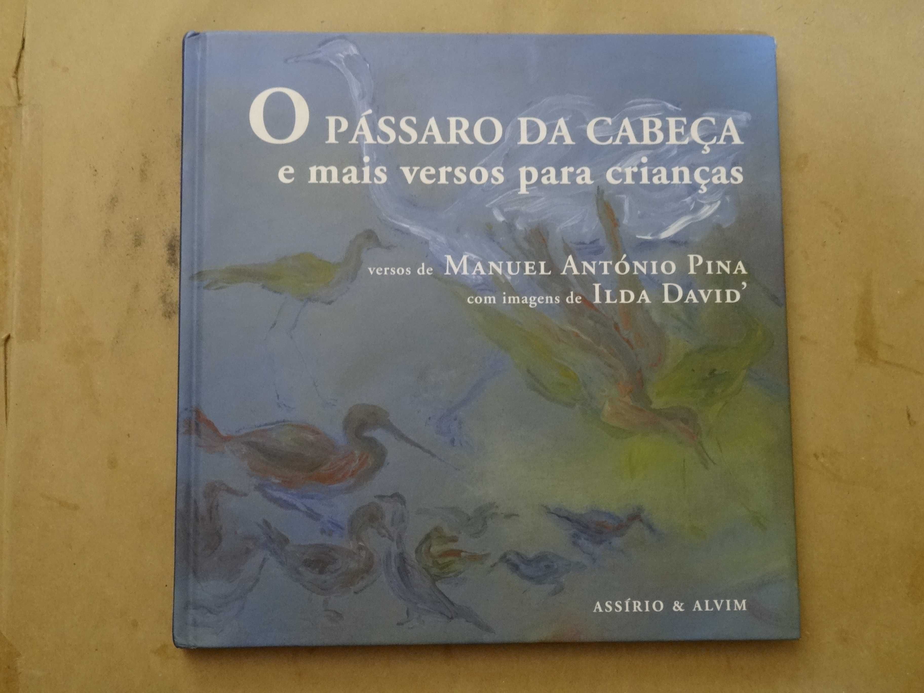 O Pássaro da Cabeça e mais versos para crianças de Manuel António Pina