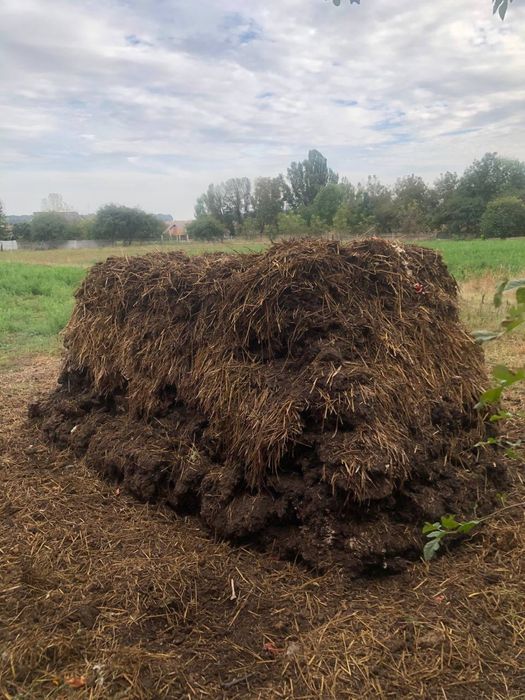 Продам гній коров'ячий