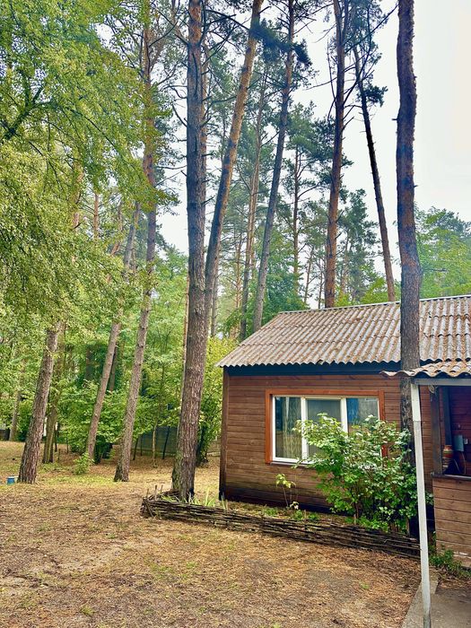 Пропонуємо відпочинок на березі Киівського моря.