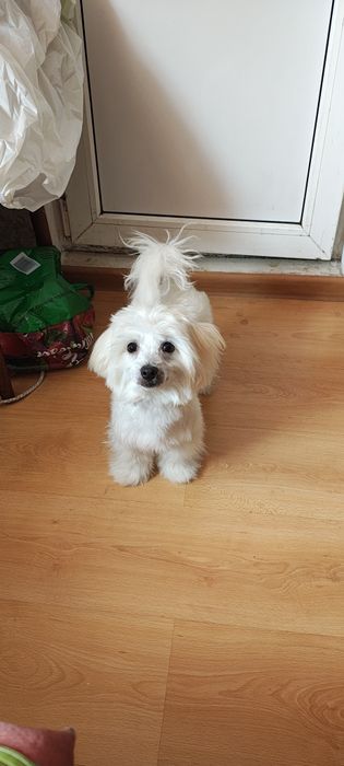 Хлопчик для вязки