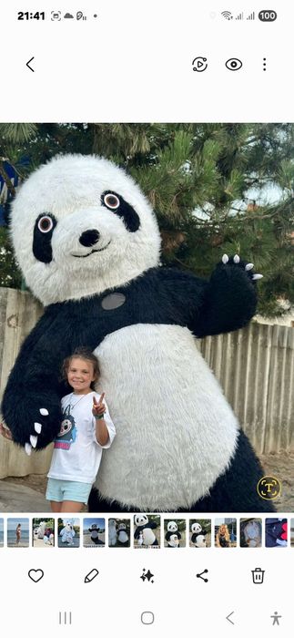 Панда купить пневмокостюм медведя, мишка панда  аниматор купить