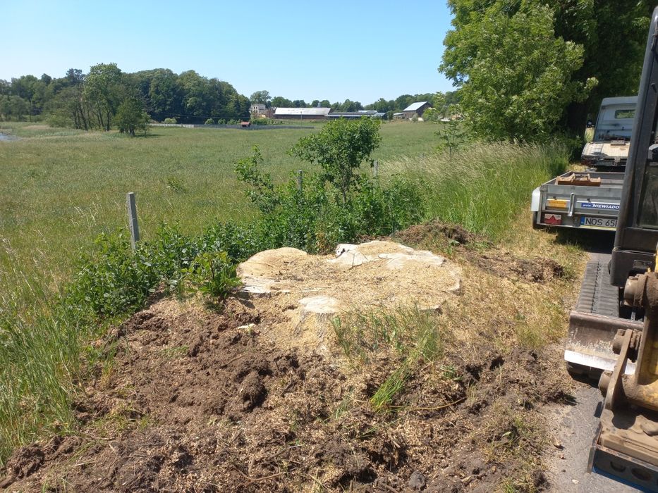 Frezowanie usuwanie pni karp po wycince karczowanie