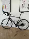 Trek Madone 3.1 Carbon