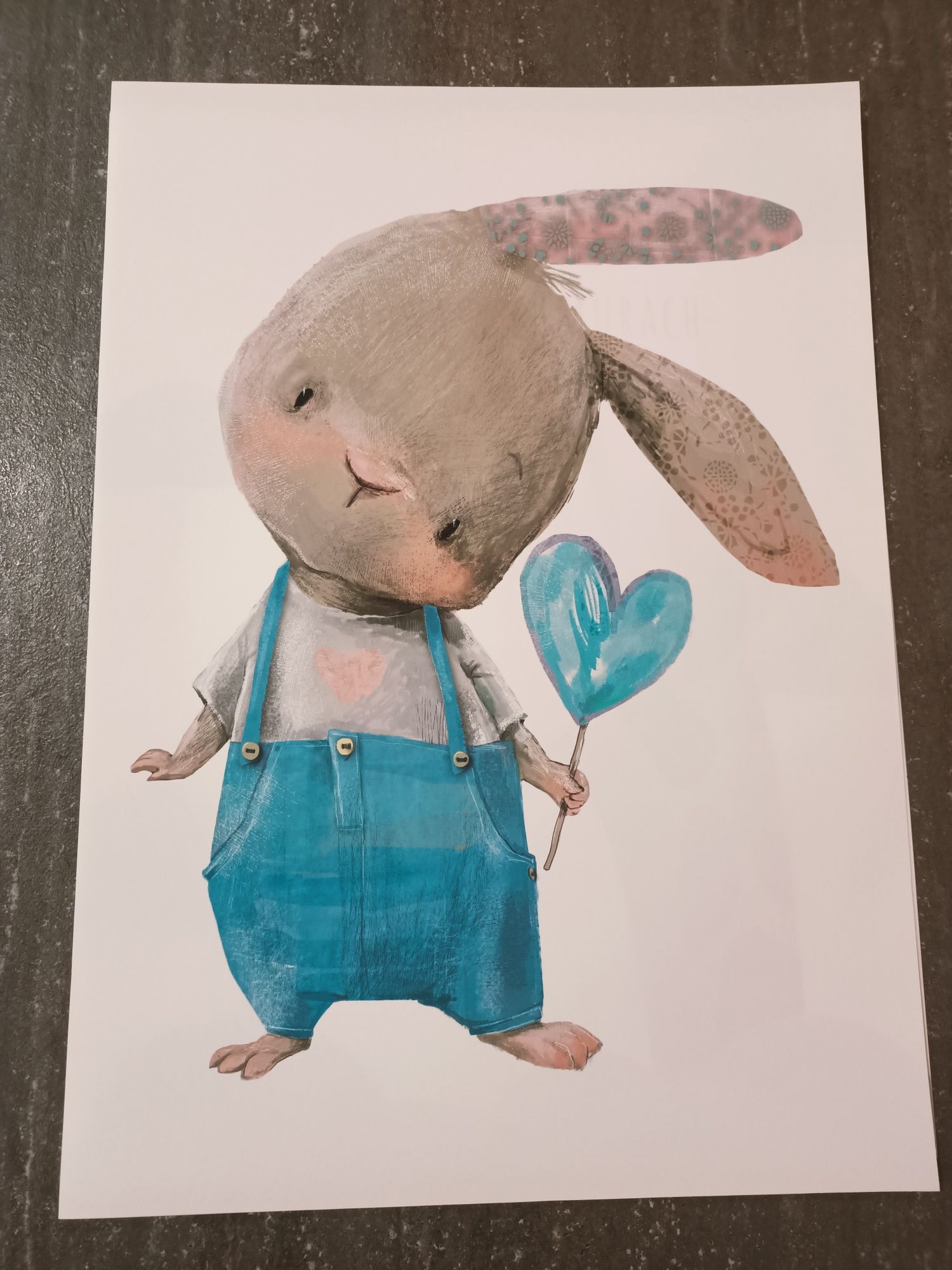 Plakat A3 dziecięcy królik