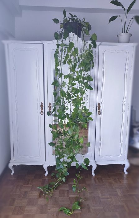 Mobilia madeira pintada de branco