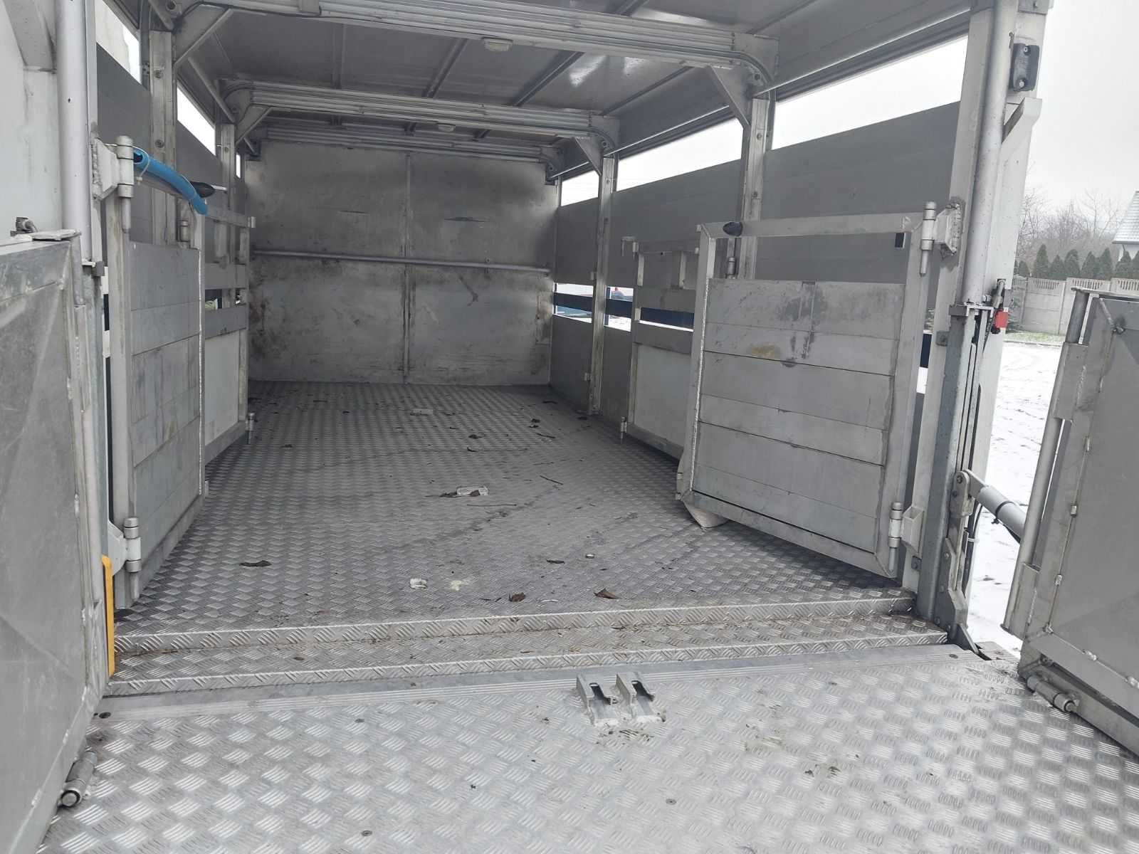 Iveco 35 do przewozu żywca, trzody, bydła