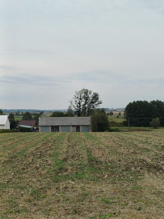 Dom z budynkami gospodarczymi  działka1 ha przy trasie Lublin Biłgoraj