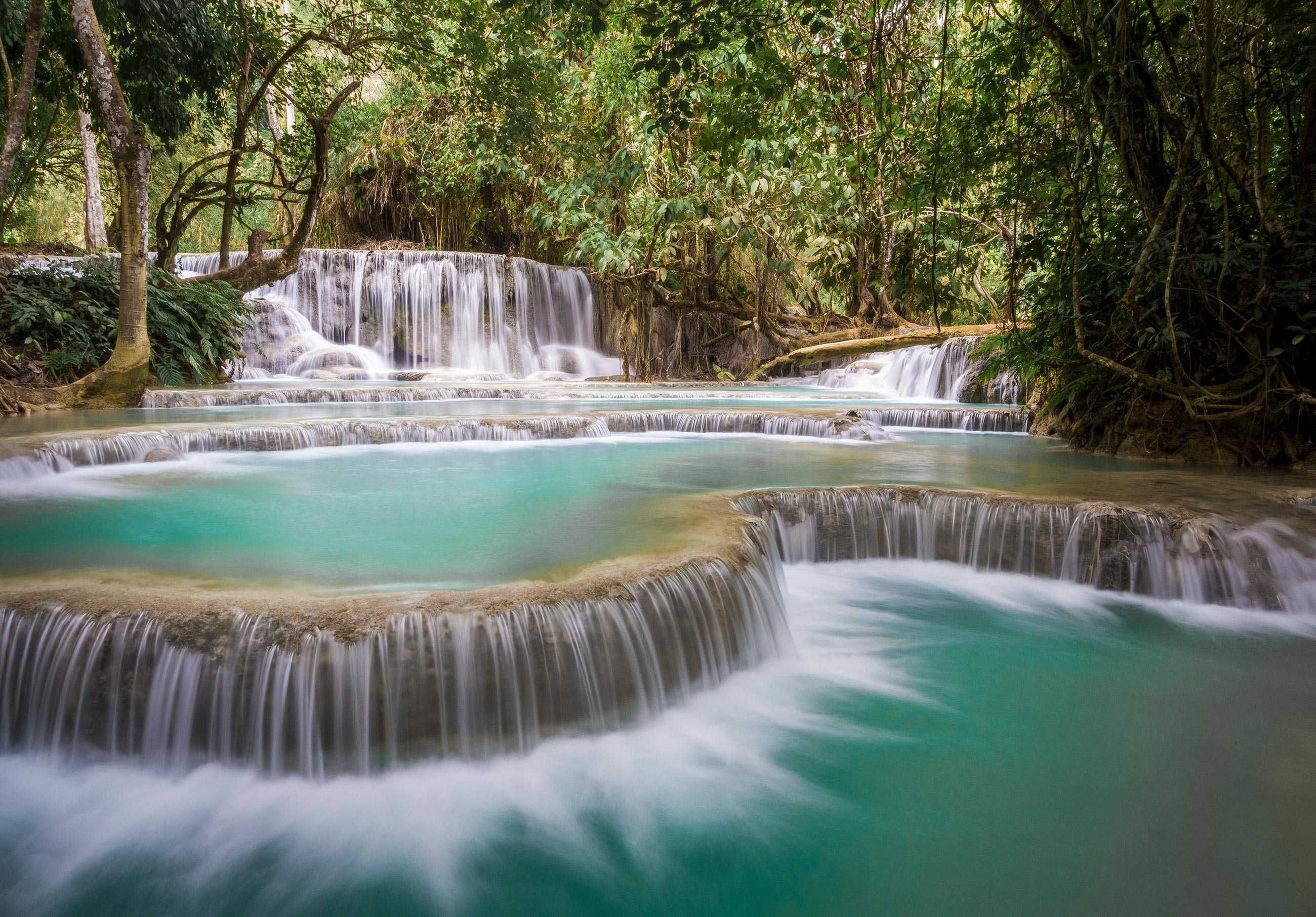 Fototapeta Woda Natura Las Wakacje Lato Relax 3D Twój Rozmiar + KLEJ