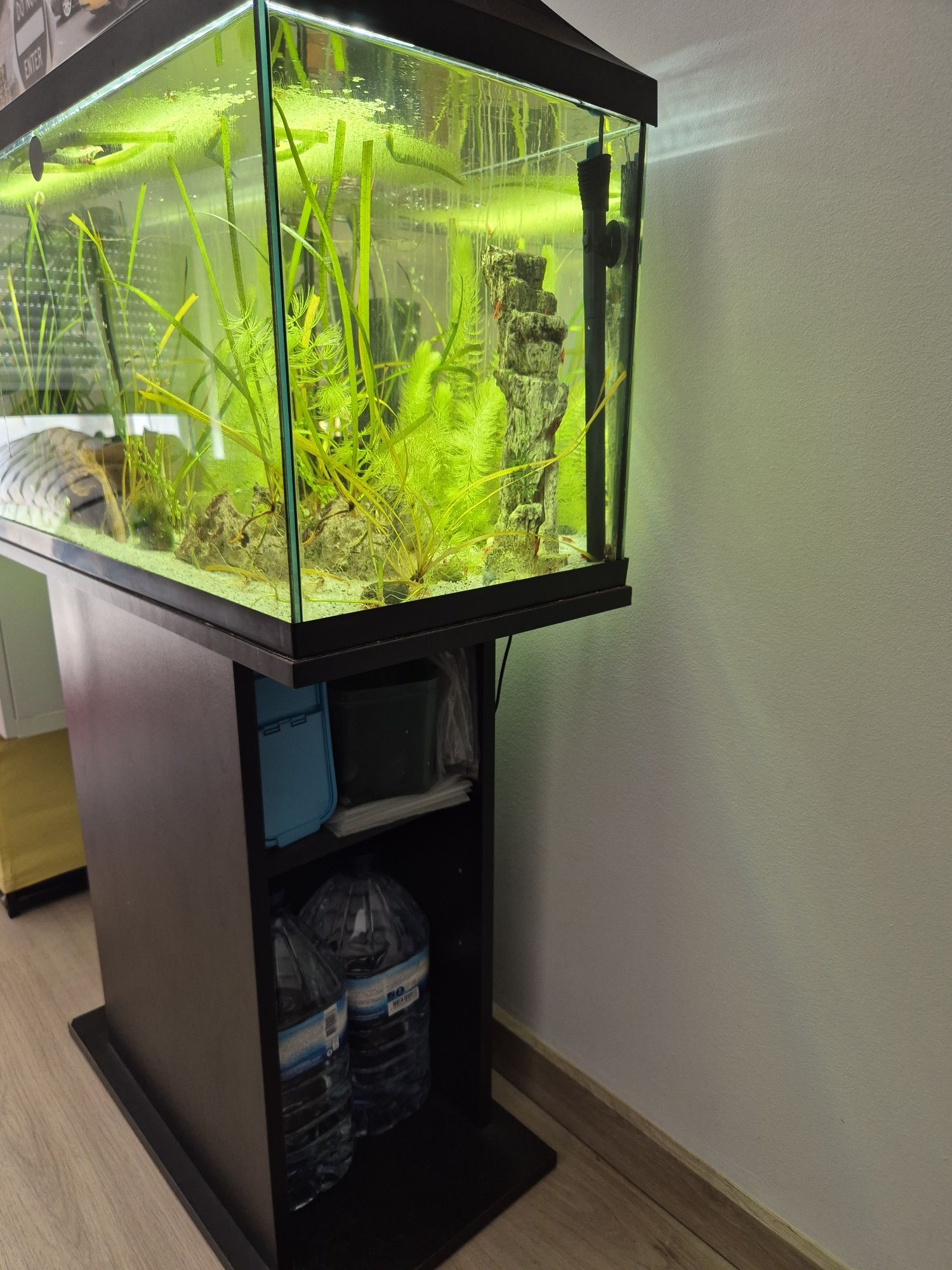 Aquário 100l com luz e termostato