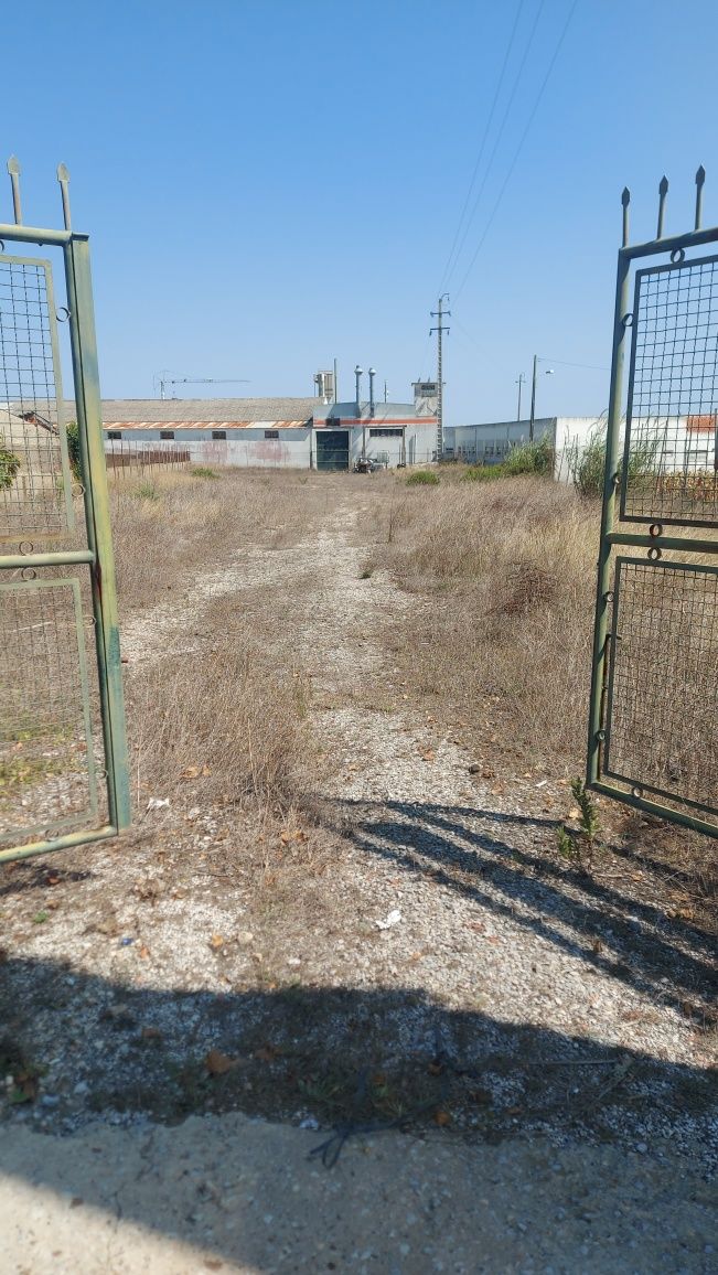 Terreno Vedado - Arrenda-se - 2.280m2