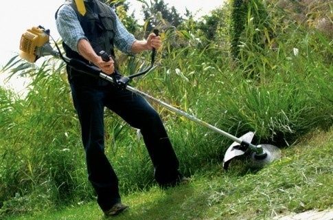 Обрізка та зрізання дерев стрижка туй