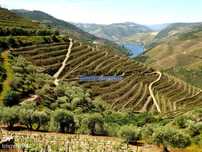 Ruína para restaurar em terreno de 3.500m2 com oliveiras. Portugal,...
