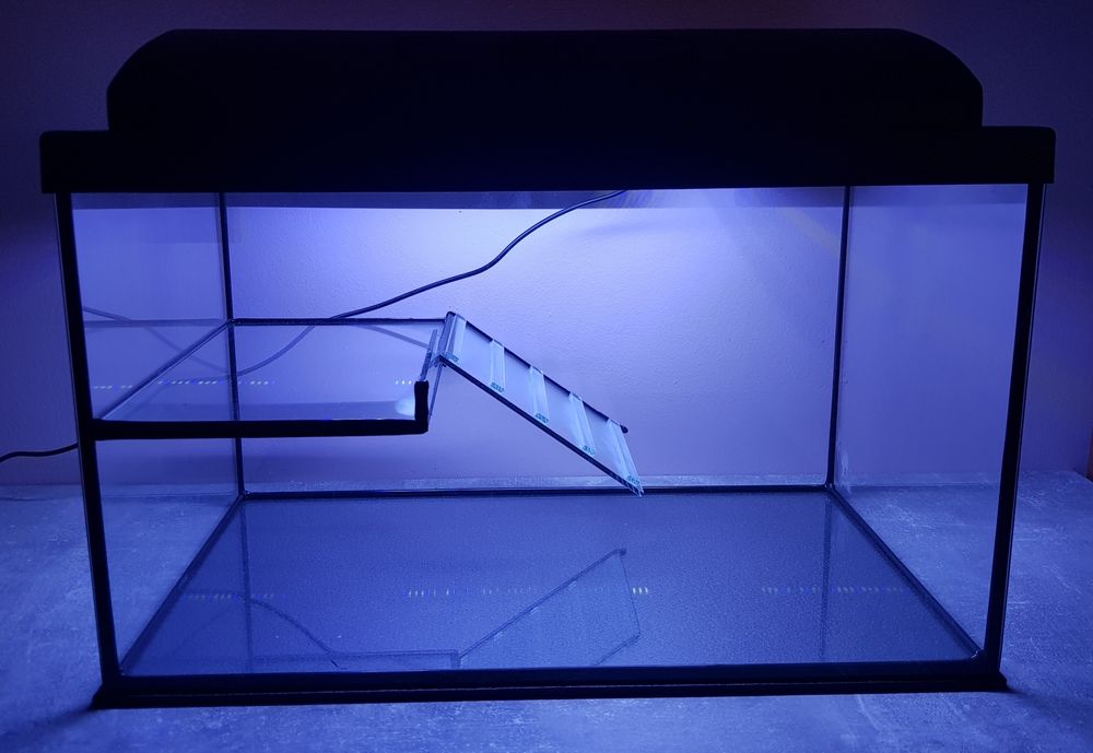 Terrarium dla żółwia wodnego 50