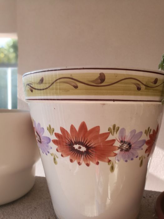 Vaso em cerâmica plantas