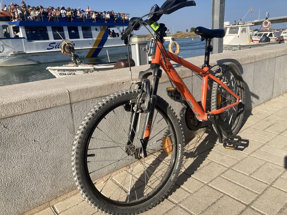 Bicicleta rockrider roda 20