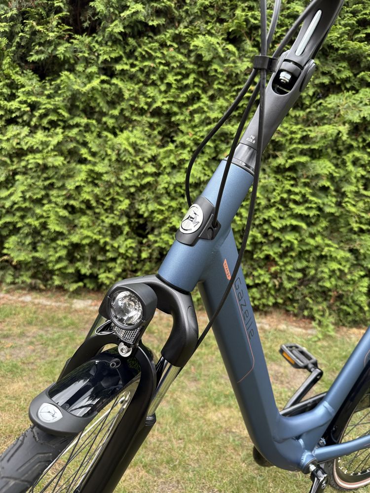 Gazelle Orange C7+