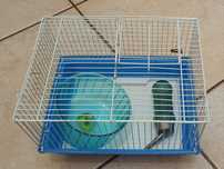 Gaiola e acessórios para hamster