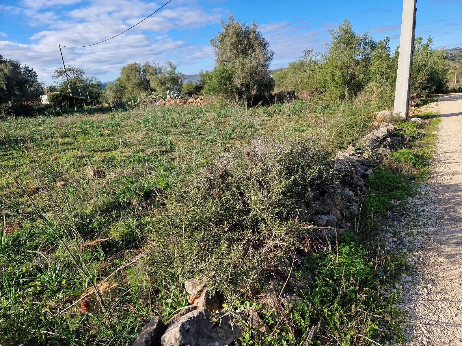 Terreno plano entre Algoz e Messines - ALTURAS