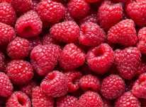 Framboesas, fruta fresca bagas