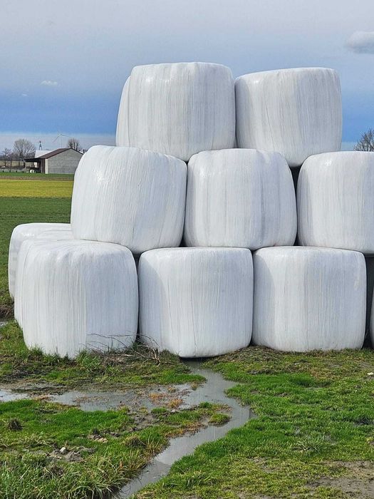 Baloty sianokiszonki 130cm 3 warstwy folii