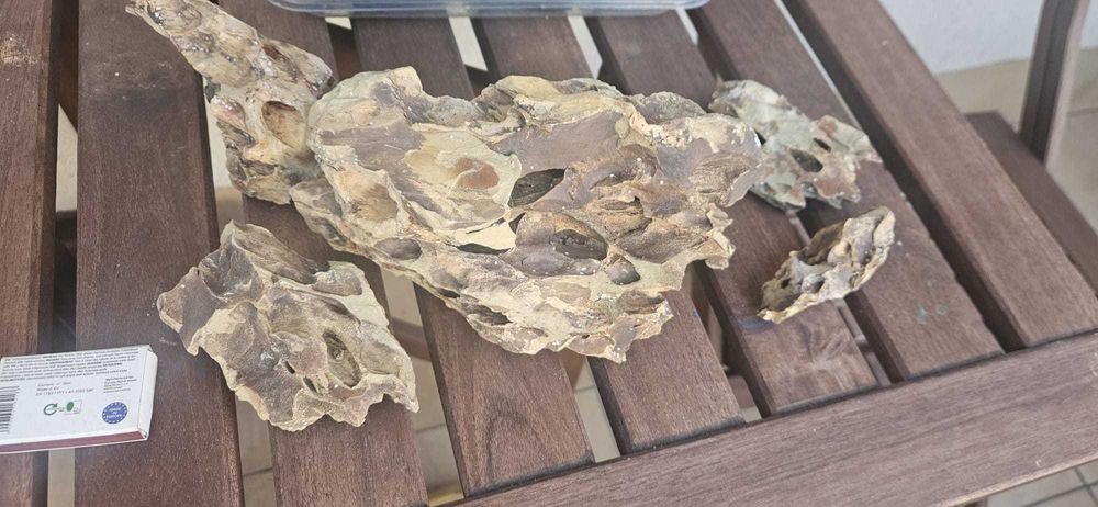 Akwarium 37,5L – luksusowa willa dla rybek (z jacuzzi i LEDami!)